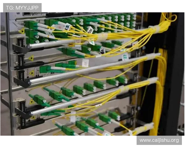 关于ng电子娱乐的全面介绍与最新发展趋势解析