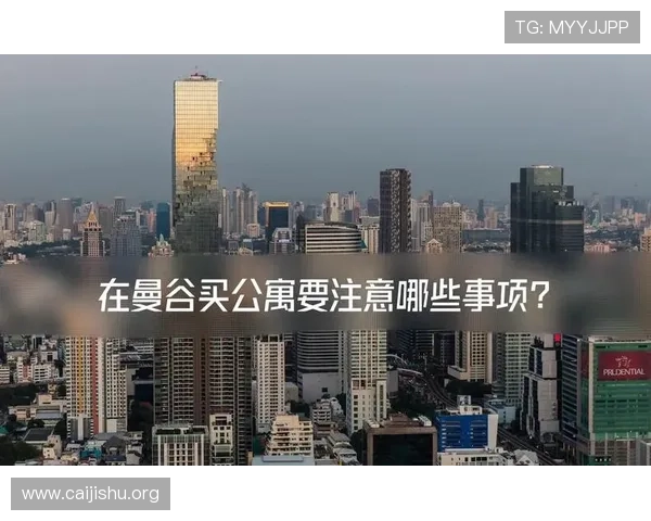 c7壹号南宫哪个更值得选择详细评测帮助你做出明智决策