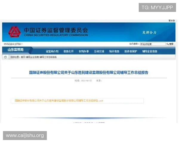 南宫NG国际登录入口官方指南，详细步骤帮助新手快速顺利完成账号登录体验