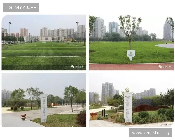 南宫体育公园的历史背景与发展规划,了解这片绿地的文化底蕴