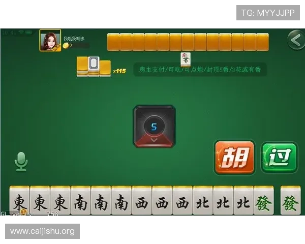 二人麻将秘籍详解：实用技巧与常见误区避免指南